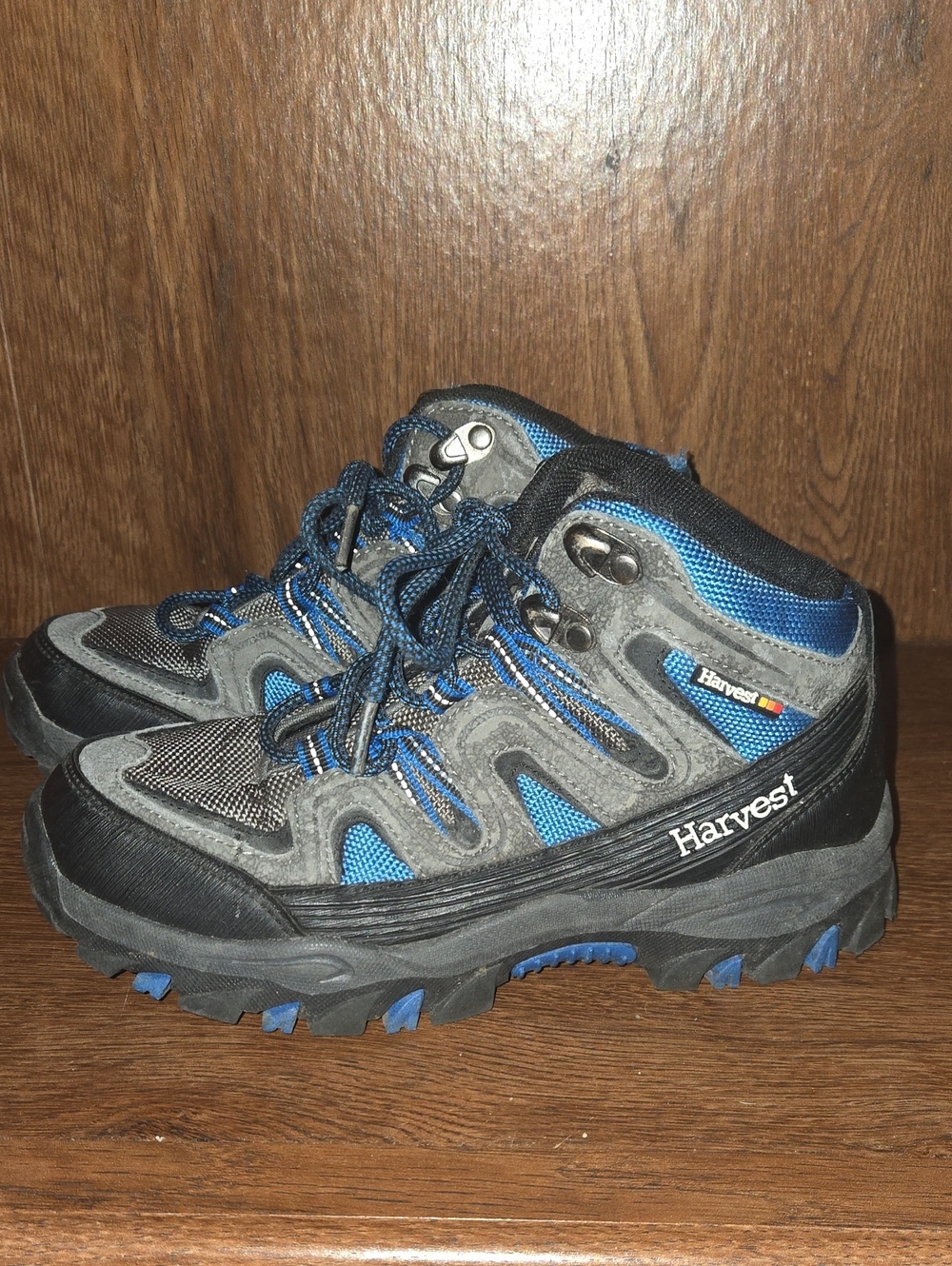 Blue & Gray Kids Hiking Shoes